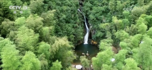 一座座“村咖”撬動(dòng)文旅融合產(chǎn)業(yè)鏈 激發(fā)當(dāng)?shù)芈糜蜗M(fèi)新活力_華夏商業(yè)網(wǎng)_華夏商業(yè)網(wǎng)_華夏財(cái)經(jīng)_華夏資訊