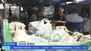 市場(chǎng)供應(yīng)充足 全國蔬菜價(jià)格漲幅收窄 9月以后菜價(jià)有望逐步回落_華夏商業(yè)網(wǎng)_華夏商業(yè)網(wǎng)_華夏財(cái)經(jīng)_華夏資訊